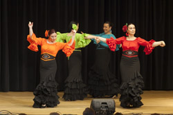 Nit Flamenca San Sebastian de los Ballesteros 